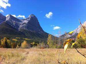 Autumn in Canmore
